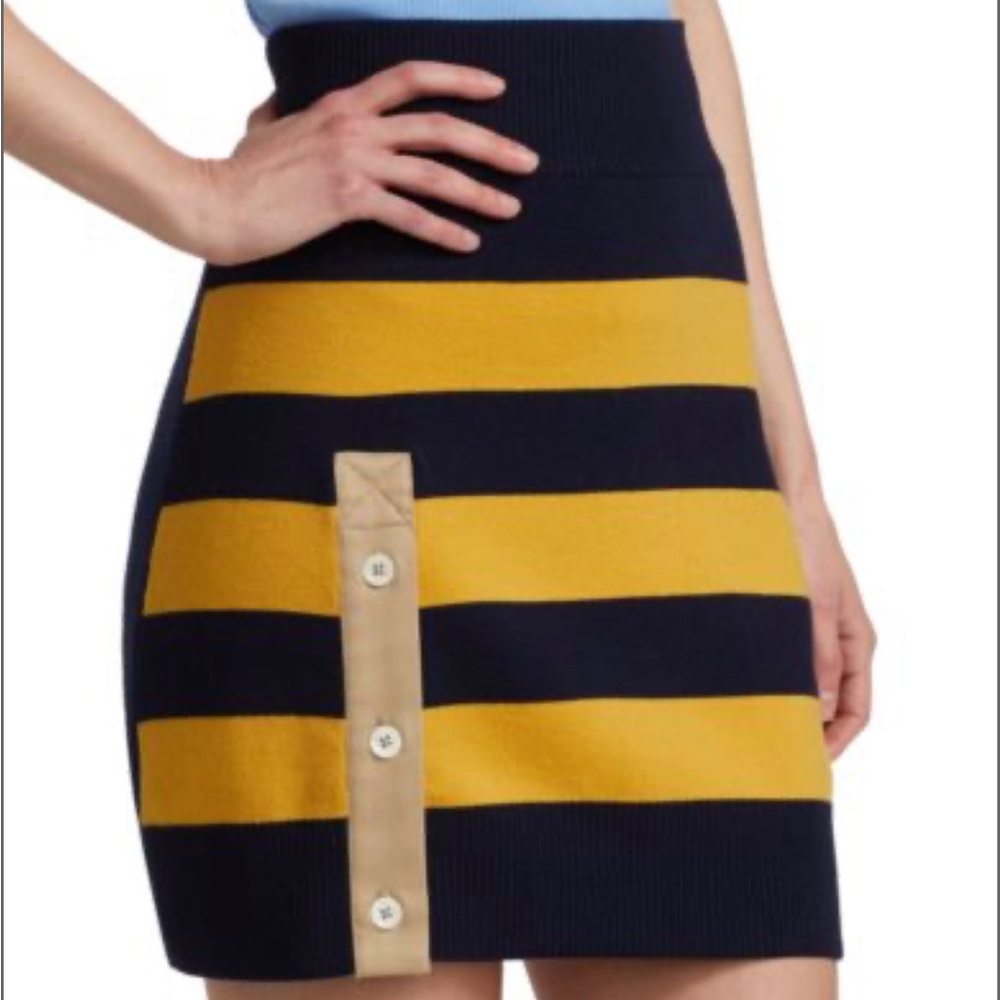 Monse Mini Skirt